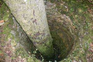 Ligne Maginot - MOLVANGE - A9 - (Ouvrage d'artillerie) - L'un des puits sur le remblai à proximité de l'entrée des munitions, sans doute construits pour protéger l'arbre qui l'occupe.