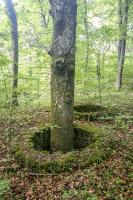 Ligne Maginot - MOLVANGE - A9 - (Ouvrage d'artillerie) - L'un des puits sur le remblai à proximité de l'entrée des munitions, sans doute construits pour protéger les arbres.
