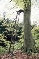 Ligne Maginot - KALMERICH 9 - (Observatoire d'infanterie) - 