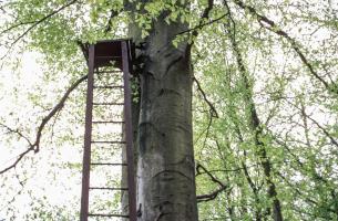 Ligne Maginot - KALMERICH 9 - (Observatoire d'infanterie) - 