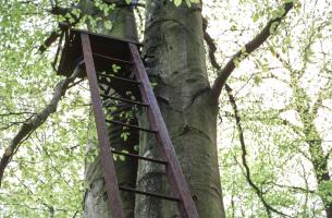 Ligne Maginot - KALMERICH 9 - (Observatoire d'infanterie) - 