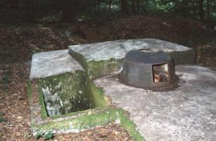 Ligne Maginot - LANGSTWALD 4 - (Blockhaus pour arme infanterie) - 