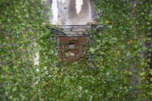 Ligne Maginot - BILLIG - A18 - (Ouvrage d'artillerie) - Bloc 4
Le créneau FM disparait sous la végétation