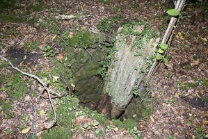 Ligne Maginot - BILLIG - A18 - (Ouvrage d'artillerie) - Bloc 6
Puits emmuré à proximité du bloc aves les restes d'un tronc d'arbre (identique, en plus petit de ceux, qu'on trouve à proximité de l'EM de Molvange)