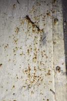 Ligne Maginot - MONT DES WELCHES - A21 - (Ouvrage d'artillerie) - Entrée munitions