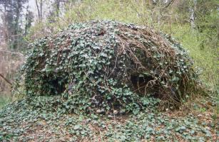 Ligne Maginot - MONT DES WELCHES - A21 - (Ouvrage d'artillerie) - Entrée des hommes
Cloche GFM Avec son camouflage en béton et ... naturel 