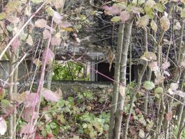 Ligne Maginot - CALVAIRE 7 - (Blockhaus pour canon) - L'embrasure à peine visible.
