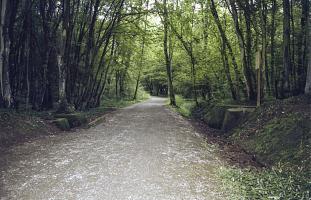 Ligne Maginot - VF60 - ANTENNE DE L'OUVRAGE DU KOBENBUSCH - (RESEAU - Voie 60 - Antenne ou rocade ferroviaire) - Pont du Schwerenberg
Vue dans l'axe  de la voie