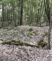 Ligne Maginot - 29T - (Chambre de coupure) - Vue sur la chambre de coupure à une vingtaine de mètres.