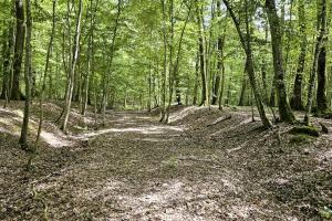 Ligne Maginot - VF60 - ANTENNE DE L'OUVRAGE DU KOBENBUSCH - (RESEAU - Voie 60 - Antenne ou rocade ferroviaire) - Restes de ballast sur le tracé de la voie entre le pont de la Croix Hépich et le pont du Bois de Lagrange