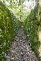 Ligne Maginot - VF60 - ANTENNE DE L'OUVRAGE DU KOBENBUSCH - (RESEAU - Voie 60 - Antenne ou rocade ferroviaire) - Pont du Schwerenberg
Dans le fossé latéral