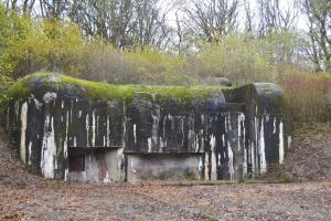 Ligne Maginot - KOBENBUSCH  - A13 - (Ouvrage d'artillerie) - Entrée des hommes
Après débroussaillage en 2019.
L'entrée et les meurtrières ont été murées par sécurité, le pied du bloc étant inondé et inaccessible