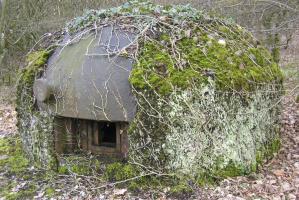 Ligne Maginot - KOBENBUSCH  - A13 - (Ouvrage d'artillerie) - Bloc 1
La cloche GFM avec son camouflage en rocaille