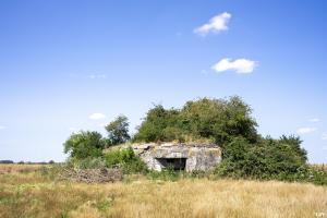 Ligne Maginot - MOULIN DU BOIS - (Blockhaus pour canon) - 