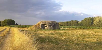 Ligne Maginot - NORD FRESNOIS - (Blockhaus pour canon) - 
