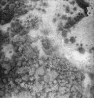 Ligne Maginot - ROCHONVILLERS - A8 - (Ouvrage d'artillerie) - Photo aérienne de l'ouvrage en 1997
Bloc 8