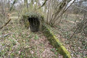 Ligne Maginot - ROTHERBERG - X30 (QUARTIER FREISTROFF - II/162°RIF) - (Abri) - 