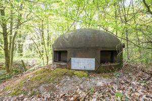 Ligne Maginot - BOIS DE FERANGE - X27 - (Abri) - La cloche GFM de l'entrée Est