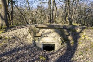 Ligne Maginot - BORNUNGSHOFF (6° CM) - ALVéOLE 1 - (PC de Sous-Quartier) - 