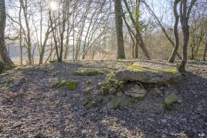 Ligne Maginot - BORNUNGSHOFF (6° CM) - ALVéOLE 1 - (PC de Sous-Quartier) - 