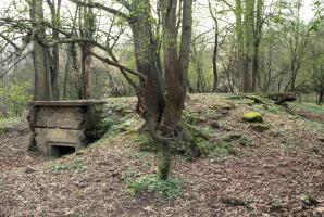 Ligne Maginot - BORNUNGSHOFF (6° CM) - ALVéOLE 1 - (PC de Sous-Quartier) - 