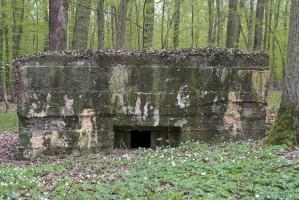 Ligne Maginot - CB89 - BORNUNGSHOFF 1 - (Blockhaus pour arme infanterie) - 