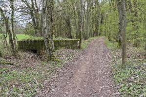 Ligne Maginot - CB89-B - BORNUNGSHOFF 3 - (Blockhaus pour arme infanterie) - 