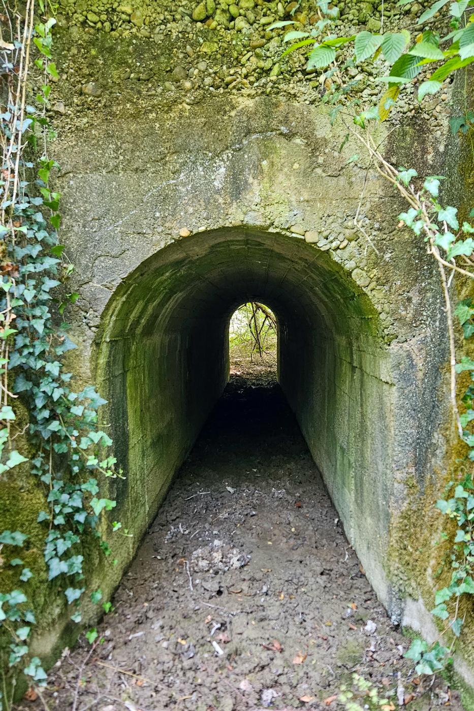 Ligne Maginot - VF60 - ANTENNE DE L'OUVRAGE DU KOBENBUSCH - (RESEAU - Voie 60 - Antenne ou rocade ferroviaire) - Pont du Bois de Lagrange - Michel Teiten