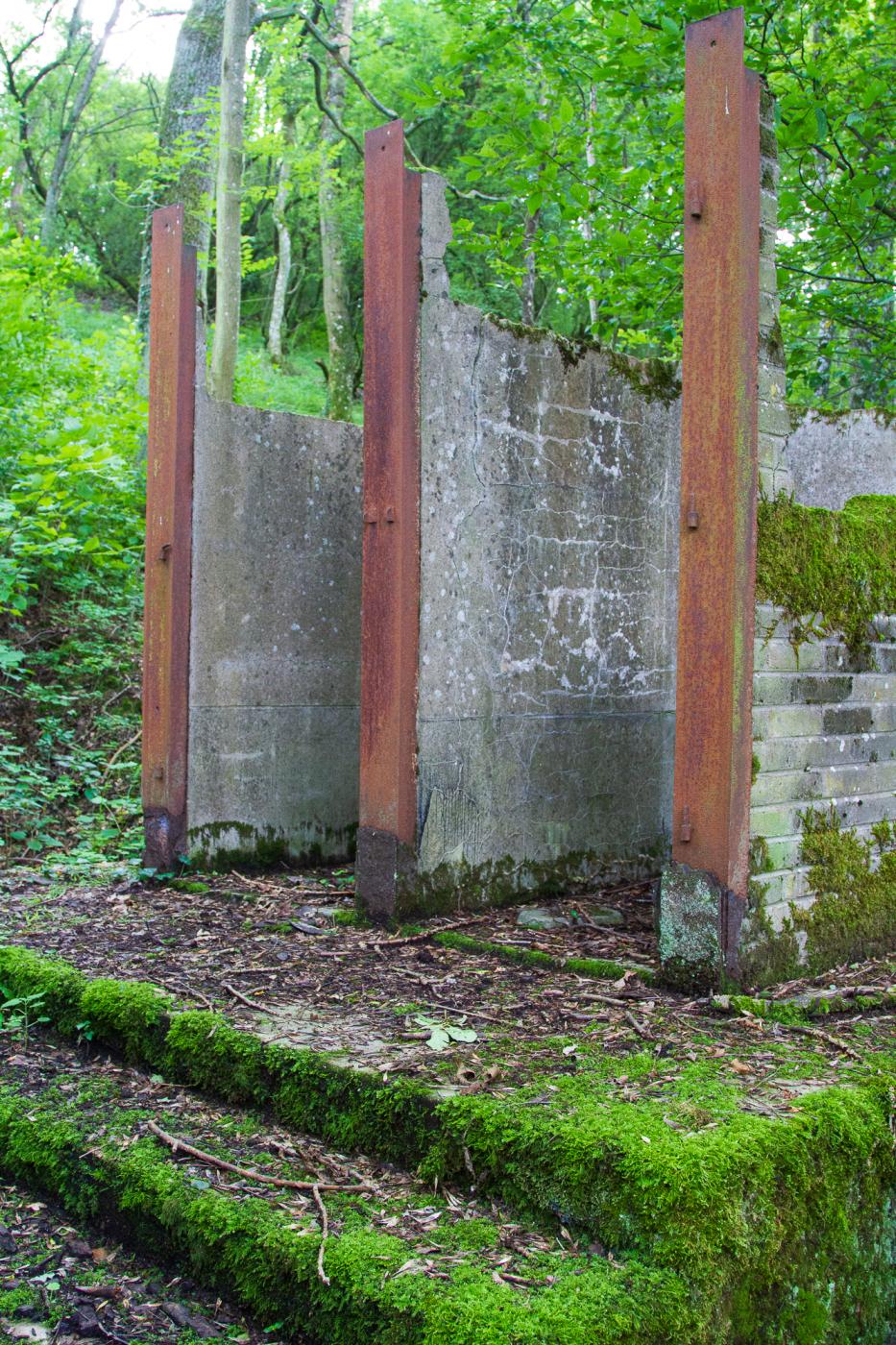 Ligne Maginot - GALGENBERG - (Casernement) - Vestiges des latrines - Michel Teiten