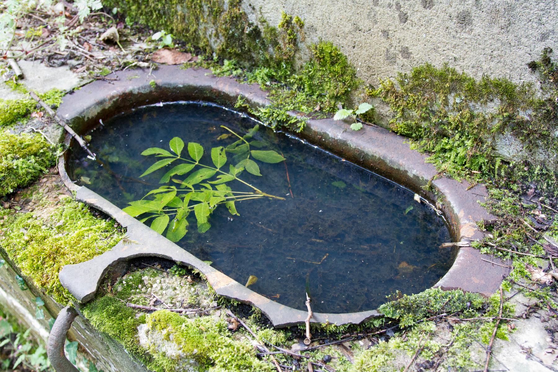 Ligne Maginot - GALGENBERG - (Casernement) - Reste des mangeoires pour chevaux - Michel Teiten