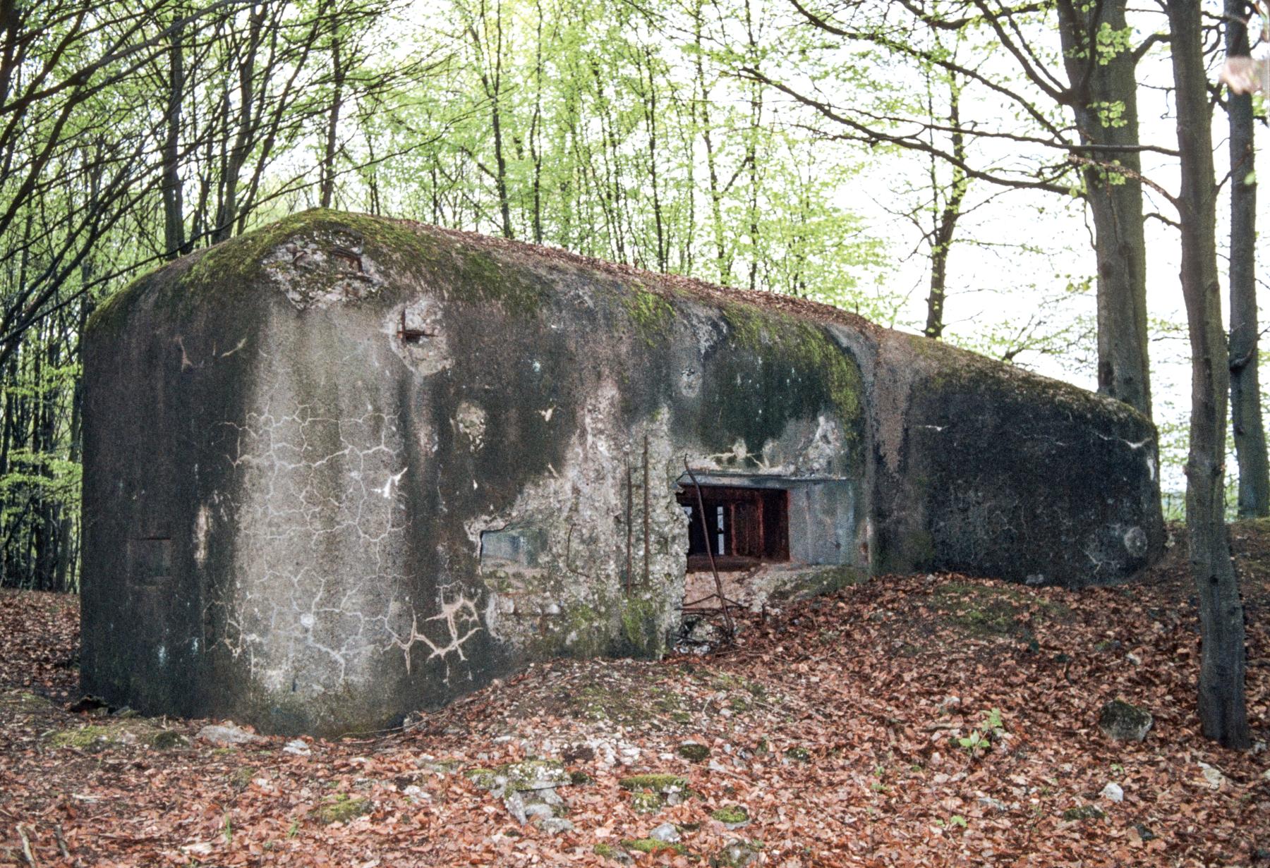 Ligne Maginot - C8B - KALMERICH 6 - (Blockhaus pour canon) -  - MANSUY Michel