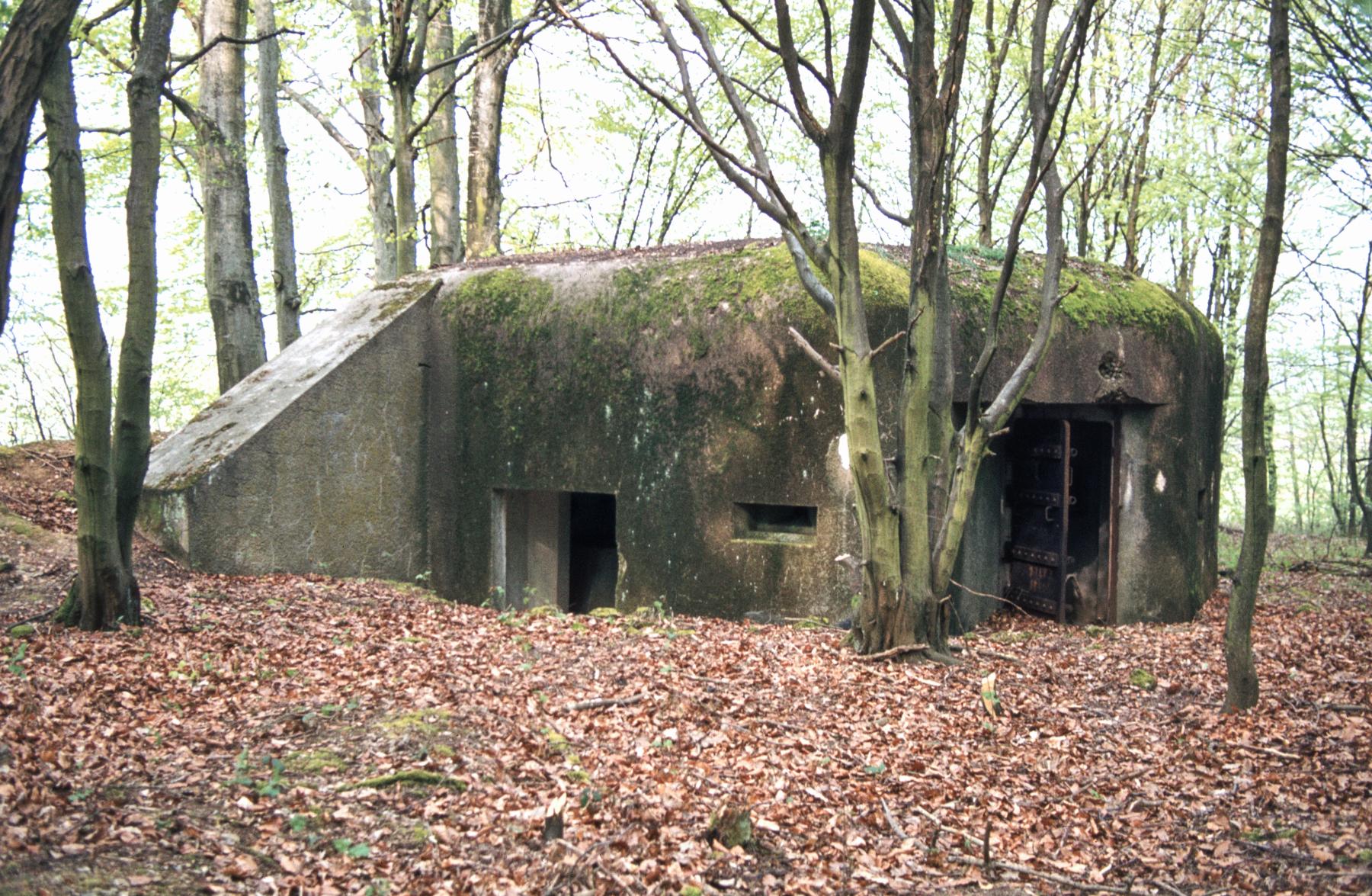 Ligne Maginot - C8B - KALMERICH 6 - (Blockhaus pour canon) - Les entrées - MANSUY Michel