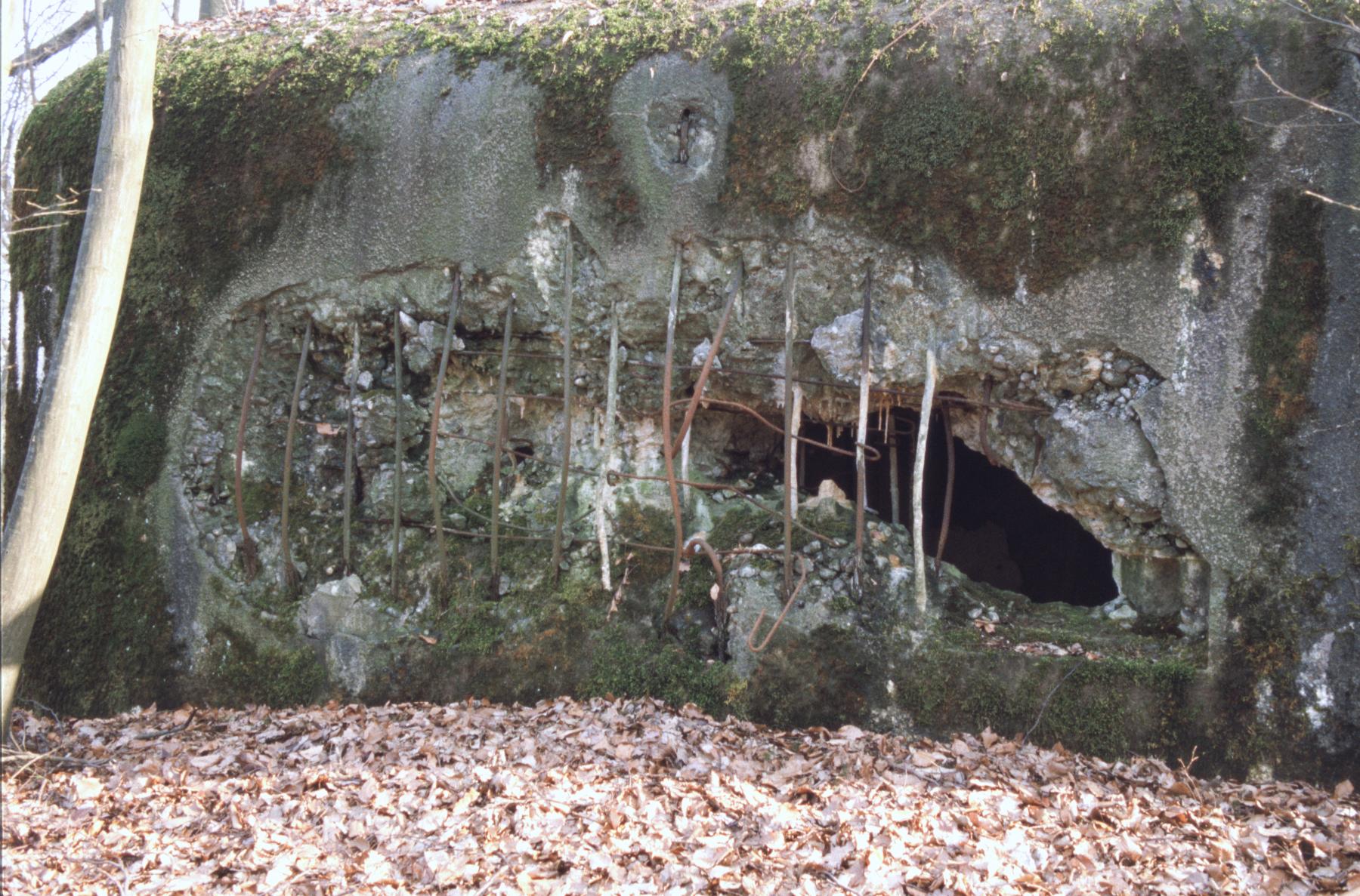 Ligne Maginot - C10B - KALMERICH 5 - (Blockhaus pour canon) -  - MANSUY Michel