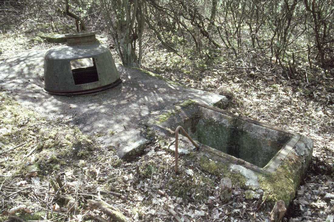 Ligne Maginot - NONNENWALD 1 - (Blockhaus pour arme infanterie) - Tourelle FT  - ammagsdr