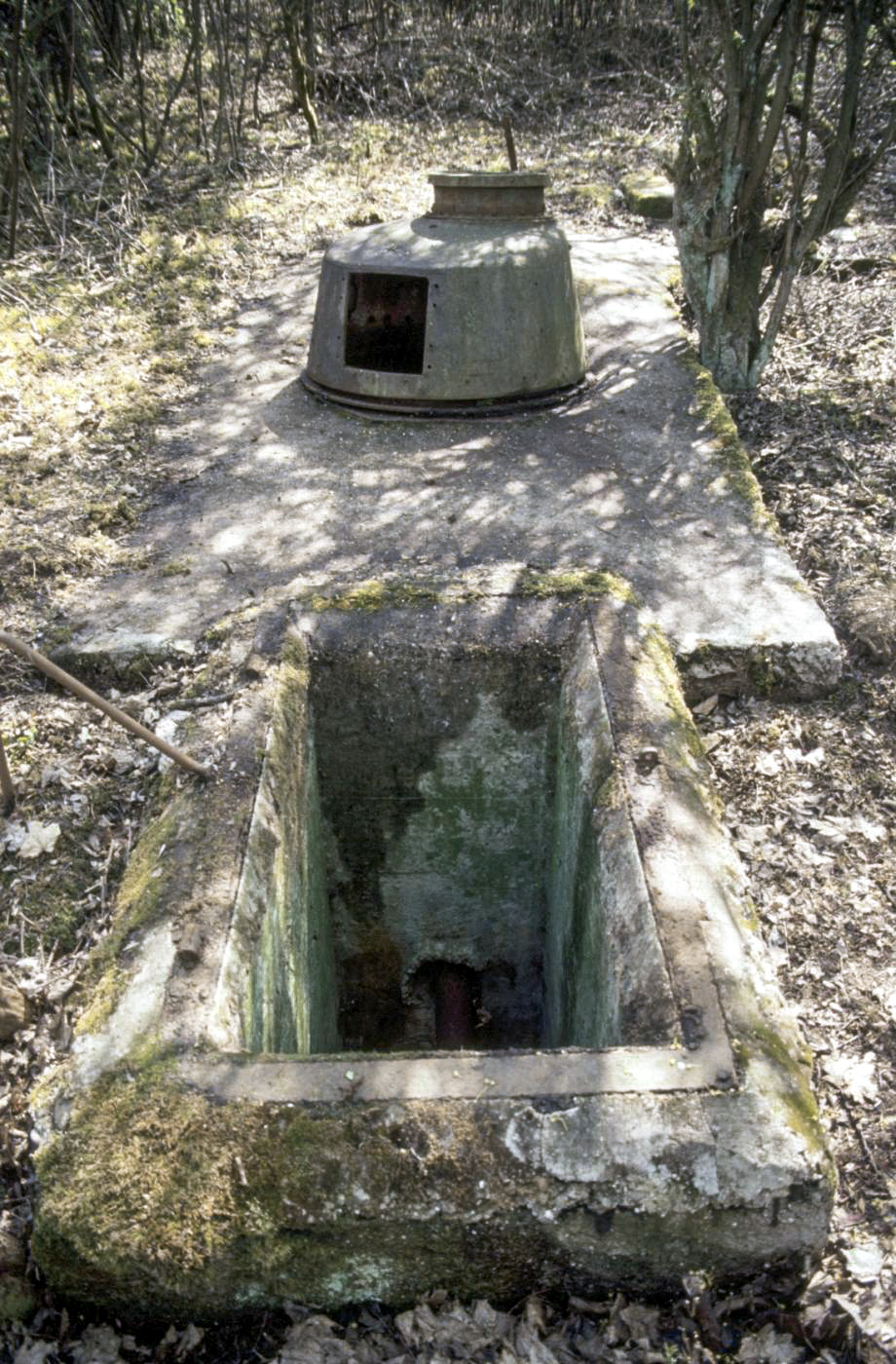 Ligne Maginot - NONNENWALD 1 - (Blockhaus pour arme infanterie) - Tourelle FT 
Etat en 2003 - ammagsdr