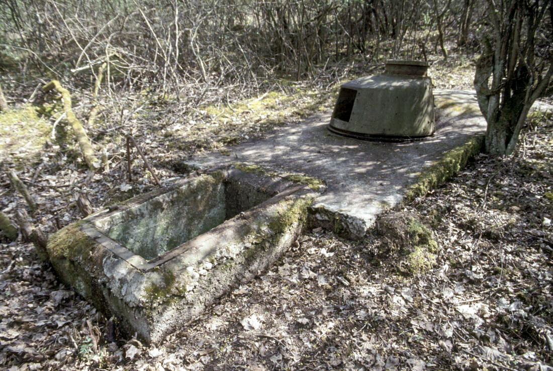 Ligne Maginot - NONNENWALD 1 - (Blockhaus pour arme infanterie) - Tourelle FT - ammagsdr