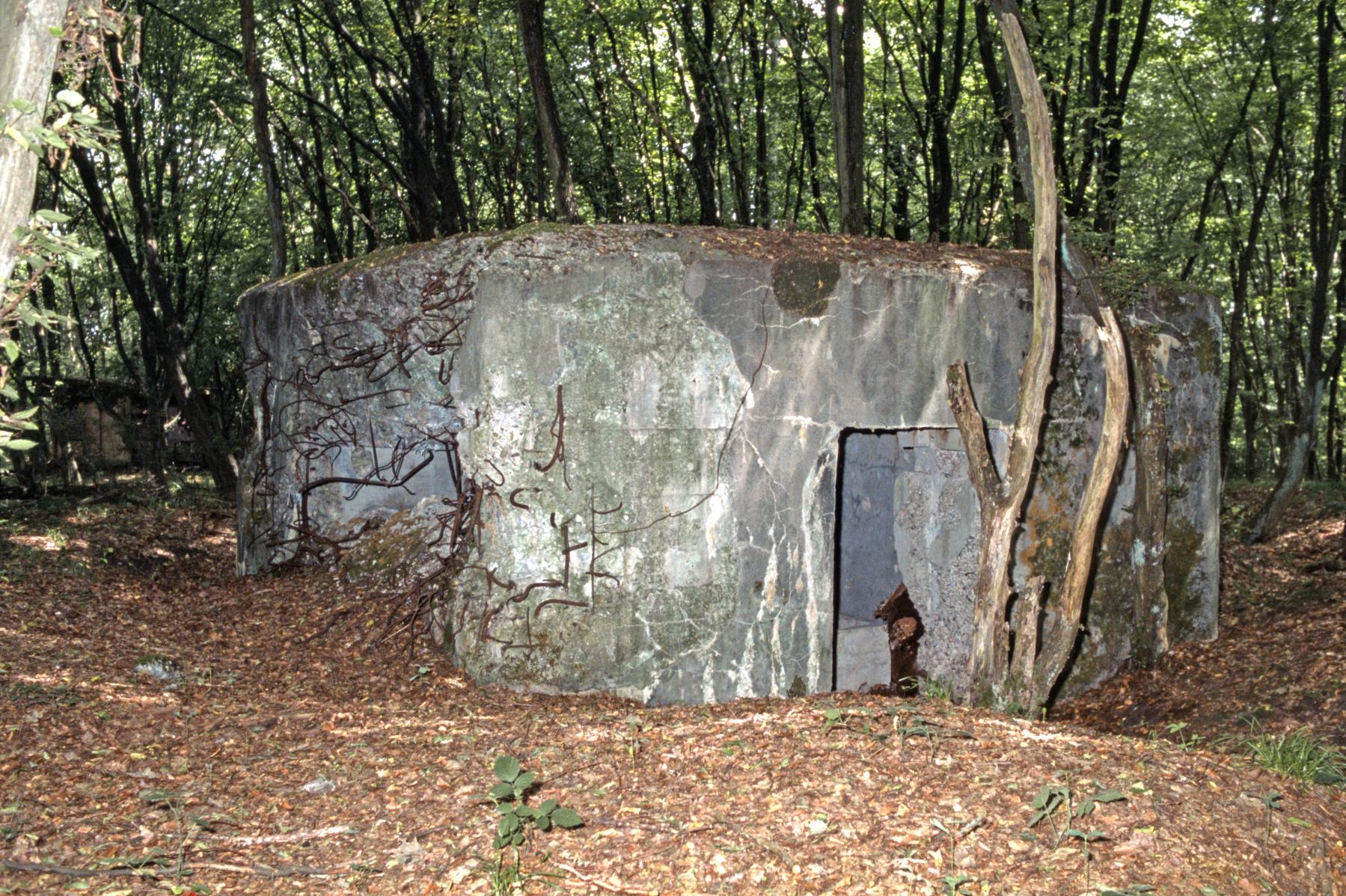 Ligne Maginot - LANGSTWALD 5 - (Blockhaus pour canon) - Les dégâts du mur latéral du blockhaus  - MANSUY Michel
