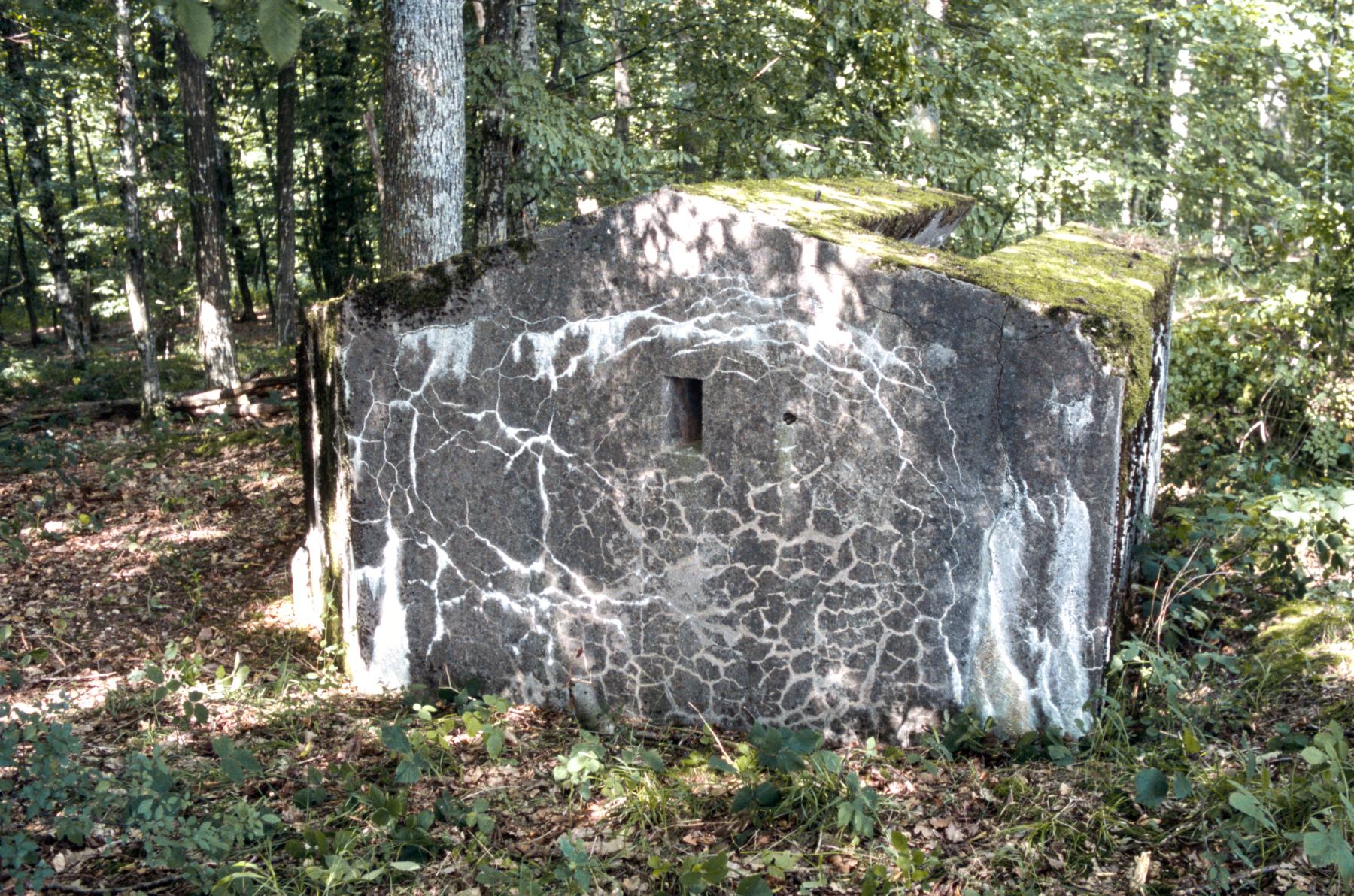 Ligne Maginot - LANGSTWALD 3 - (Blockhaus pour arme infanterie) -  - MANSUY Michel