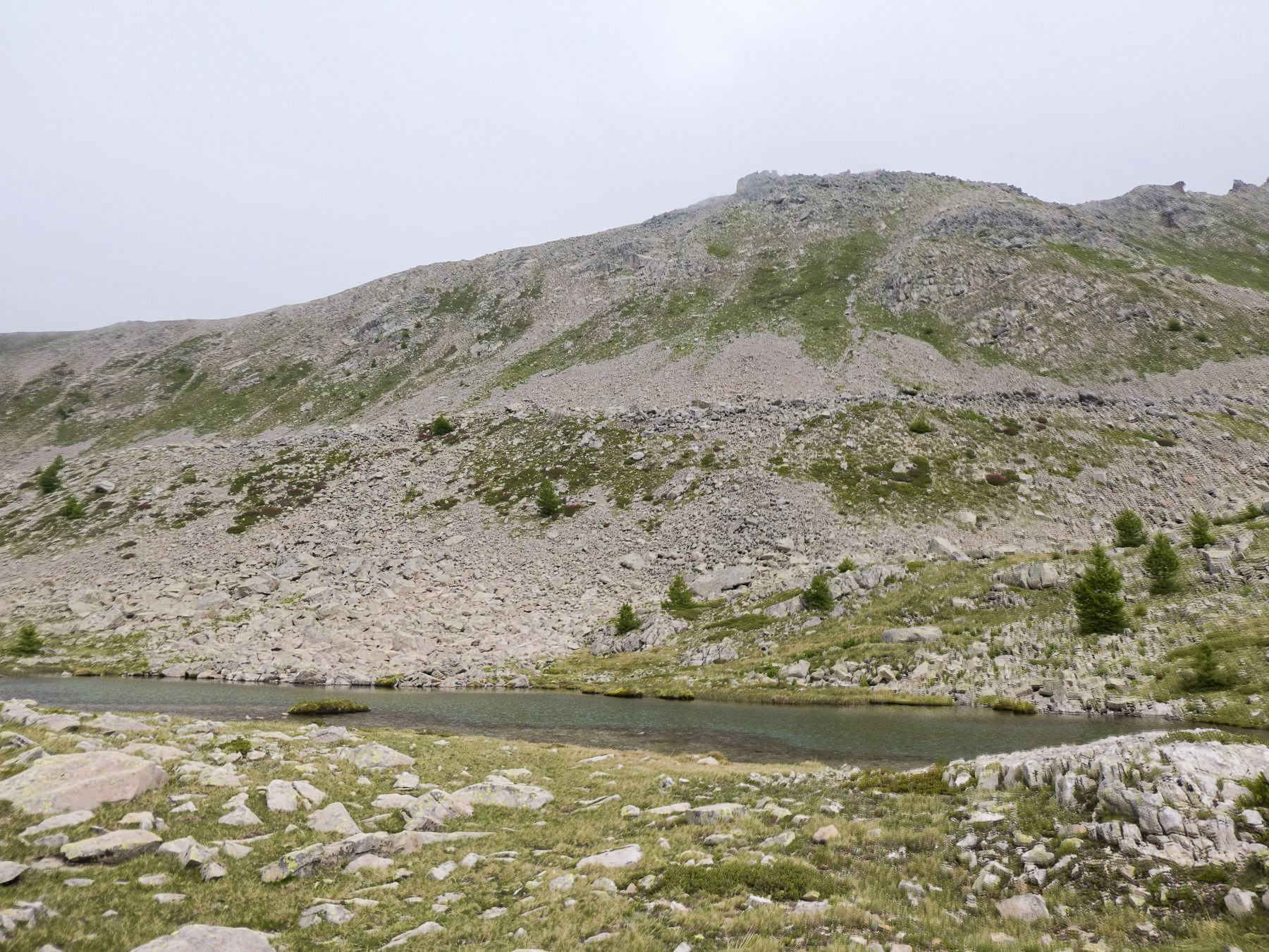 Ligne Maginot - L'ESCUZIER SUD (PA) - (Divers) - Au milieu de la moraine ou se trouvent les cuves - ELLENA Daniel - CUNY Philippe