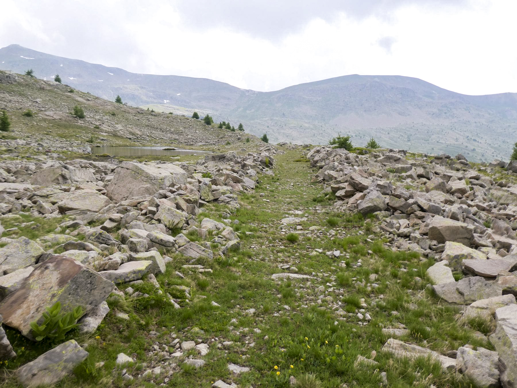Ligne Maginot - L'ESCUZIER SUD (PA) - (Divers) - La piste militaire d'accès. - ELLENA Daniel - CUNY Philippe
