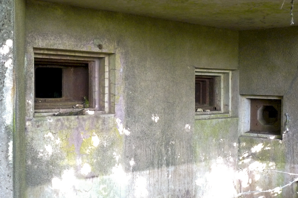 Ligne Maginot - HAUT DE L'ANGUILLE EST - C4 - (Casemate d'infanterie - Simple) -  - Sylvie Laure LAMBERT