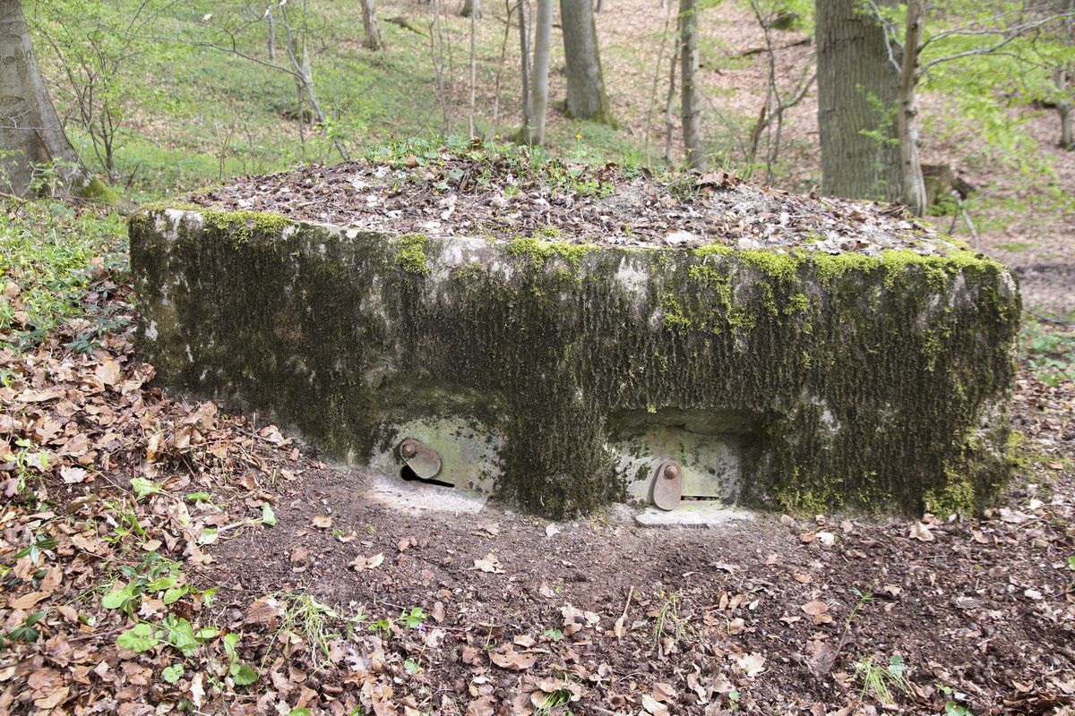 Ligne Maginot - KALMERICH 1 - (Observatoire d'infanterie) - 