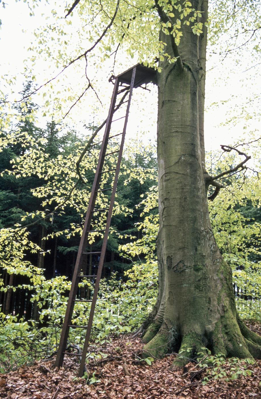 Ligne Maginot - KALMERICH 9 - (Observatoire d'infanterie) -  - MANSUY Michel