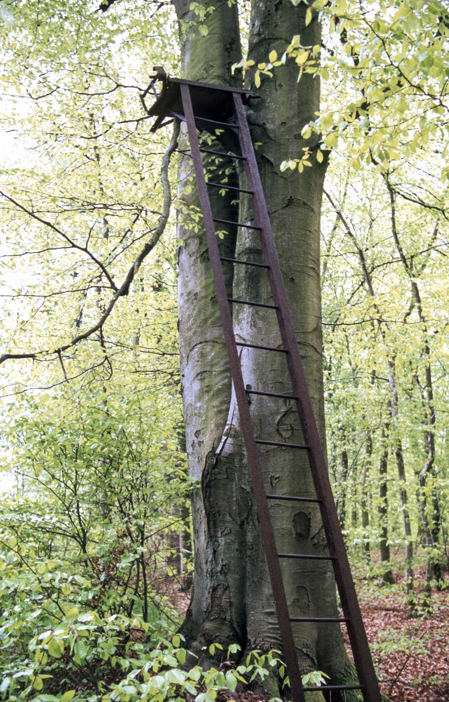 Ligne Maginot - KALMERICH 9 - (Observatoire d'infanterie) - L'arbre est marqué '6' - MANSUY Michel