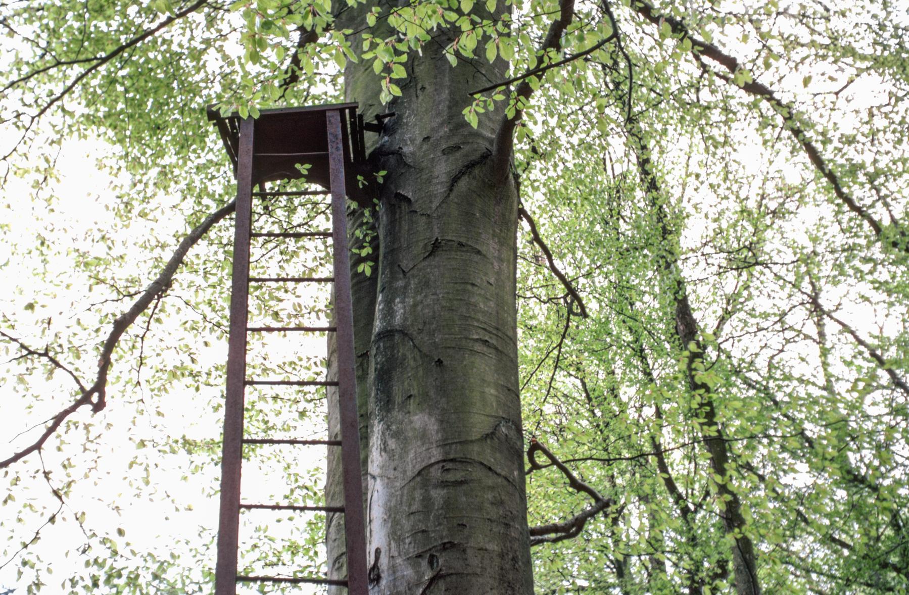 Ligne Maginot - KALMERICH 9 - (Observatoire d'infanterie) -  - MANSUY Michel