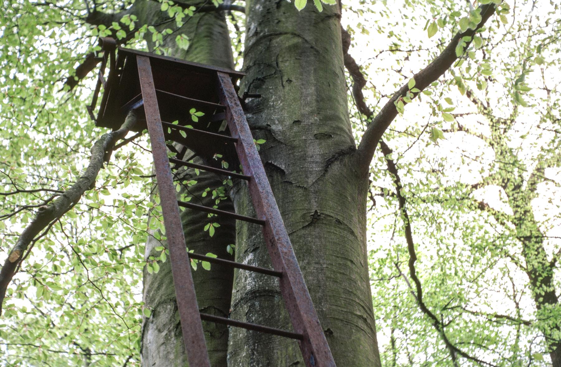 Ligne Maginot - KALMERICH 9 - (Observatoire d'infanterie) -  - MANSUY Michel