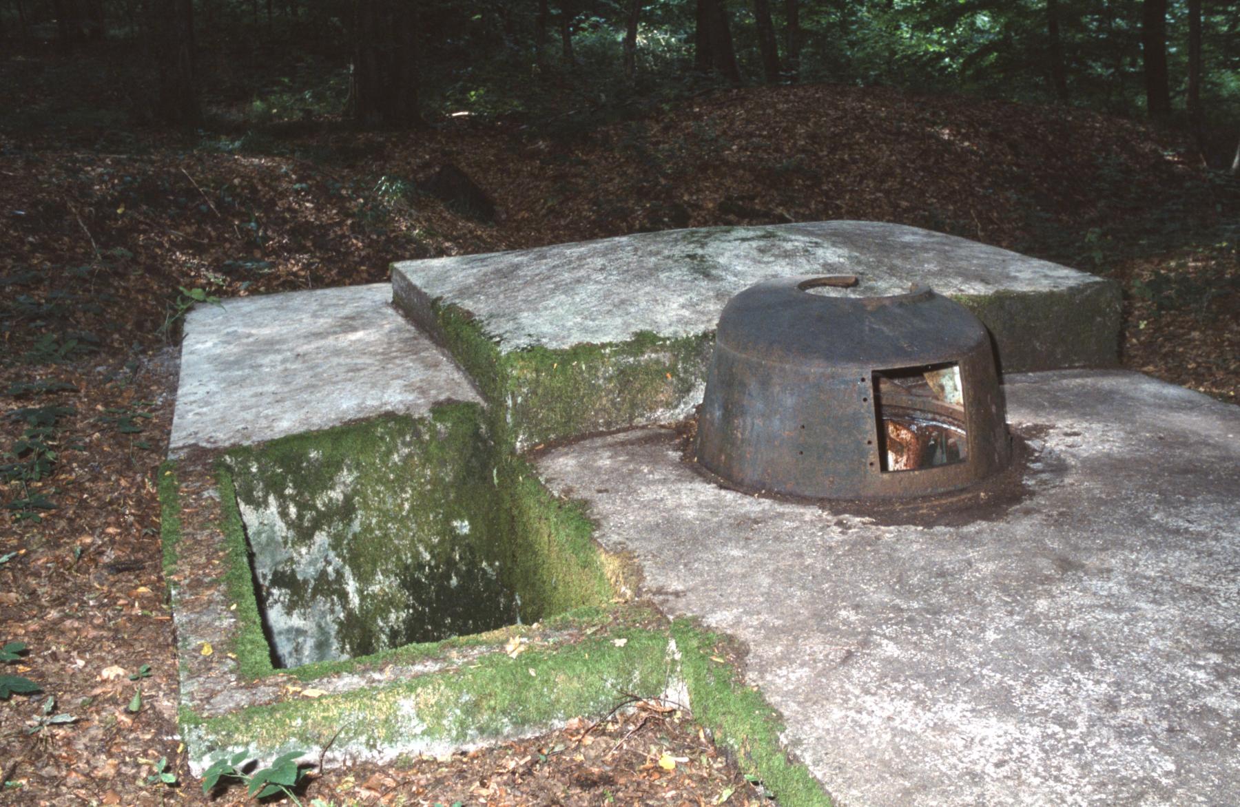 Ligne Maginot - LANGSTWALD 4 - (Blockhaus pour arme infanterie) -  - MANSUY Michel