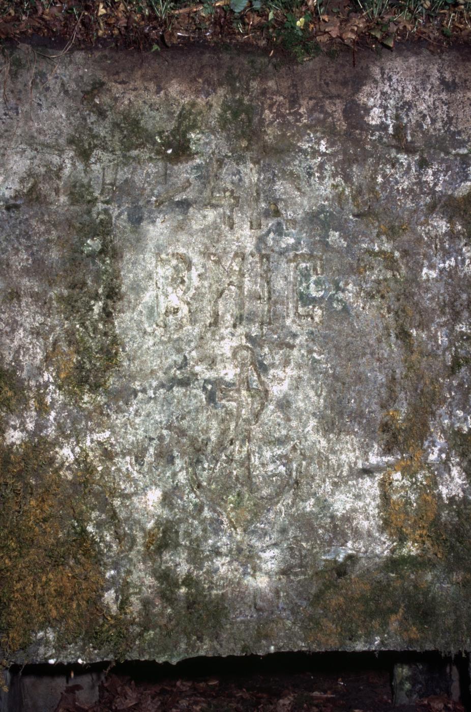 Ligne Maginot - LANGSTWALD 6 - (Blockhaus pour arme infanterie) - Blason du 41° RMIC - MANSUY Michel