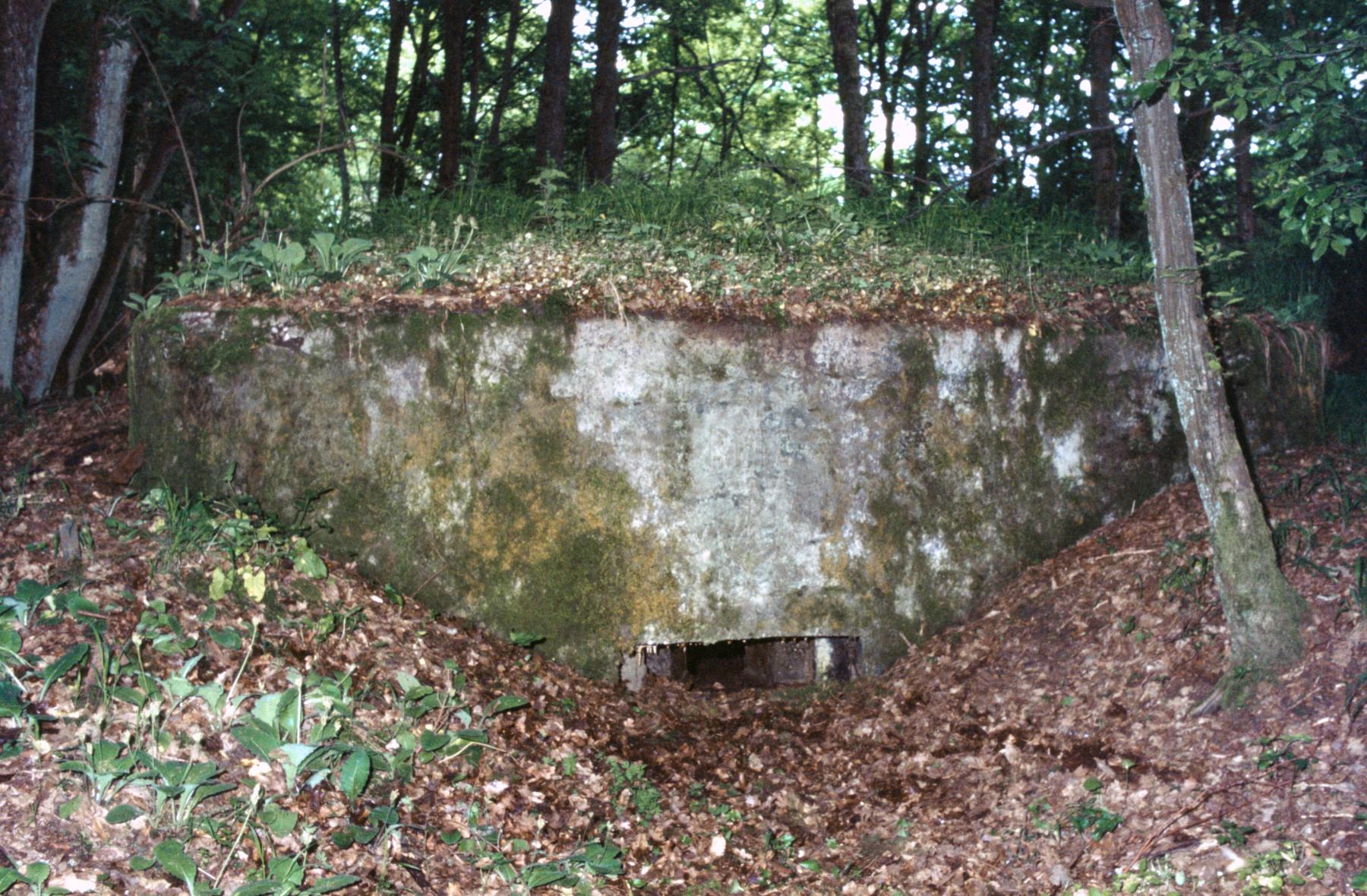 Ligne Maginot - LANGSTWALD 6 - (Blockhaus pour arme infanterie) -  - MANSUY Michel