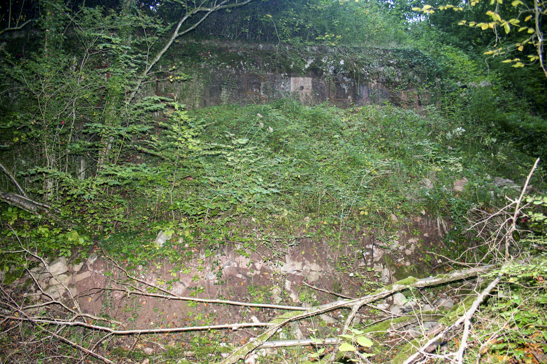 Ligne Maginot - BILLIG - A18 - (Ouvrage d'artillerie) - Bloc 1
Le bloc disparait complètement sous les remblais - Michel Teiten